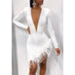 Women Winter Mini Dress 2025 O-Neck Mesh Feather Patchwork Sexy Night Club Party Bandage Street Bodycon Dresses