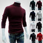 Mens SweaterTurtleneck Solid Color