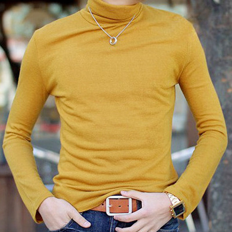 Mens SweaterTurtleneck Solid Color