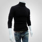 Mens SweaterTurtleneck Solid Color