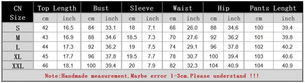 See through Sexy Two Piece Set Women Transparent Mesh Crop Top and Pencil Pants Suit