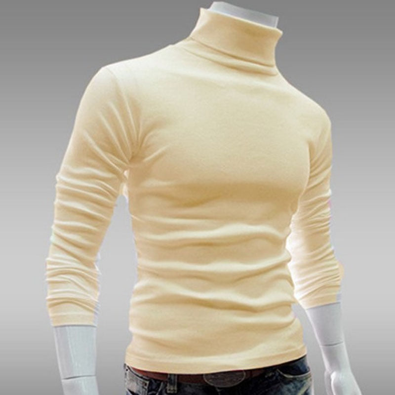 Mens SweaterTurtleneck Solid Color