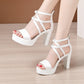 Block Heel Platform Sandals Women