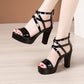 Block Heel Platform Sandals Women