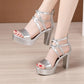 Block Heel Platform Sandals Women